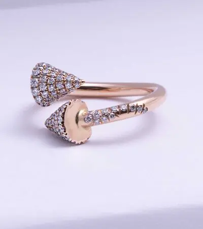 Double Nail Point Ring